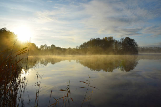 istock lake and autumn morning mist 1351034720