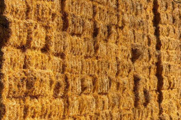Texture of stacked straw bales in warm light