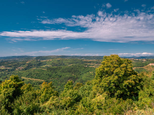 istock View over the landscape in Istria Croatia 1351036382