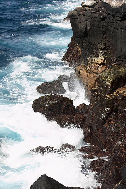 istock Surf crashing against Galapagos Island rocky coast 135104023