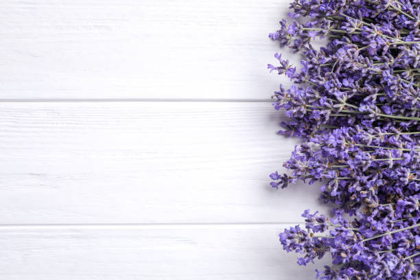 istock Beautiful lavender flowers on white wooden background, flat lay. Space for text 1351043254