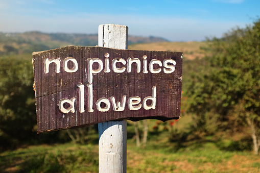 Hand-carved wooden sign prohibits picnics.