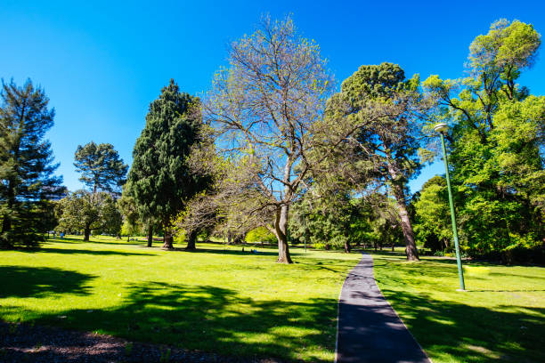 istock Fitzroy Gardens in Melbourne Australia 1351045776