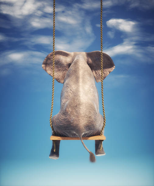 istock Elephant sitting on a swing.  Freedom and happiness concept. 1351045817