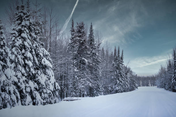 Country road in winter. Snow on street