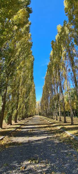 istock Treptow Park in Berlin in Autumn 1351046726