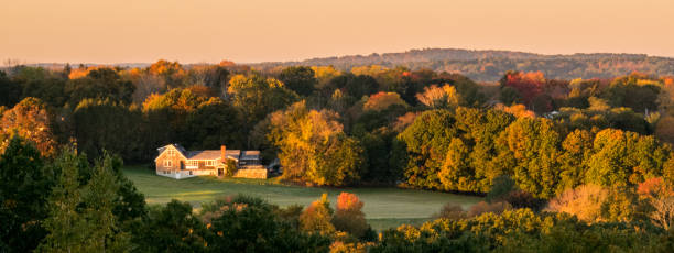 istock Autumn Haze over a Field 1351047489