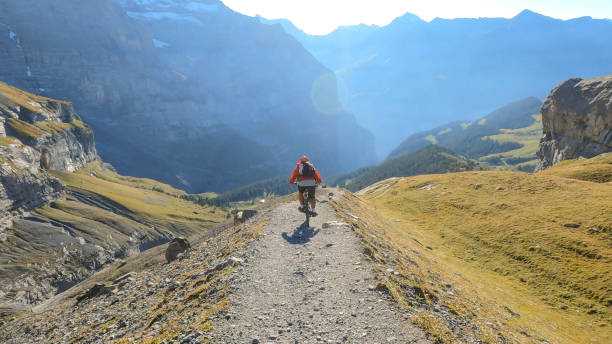 istock Mountain biker follows trail on grassy mountain ridge 1351047823