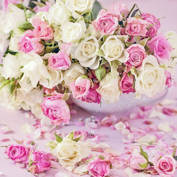 istock Beautiful fresh roses in a cup on a pink background 1351047972