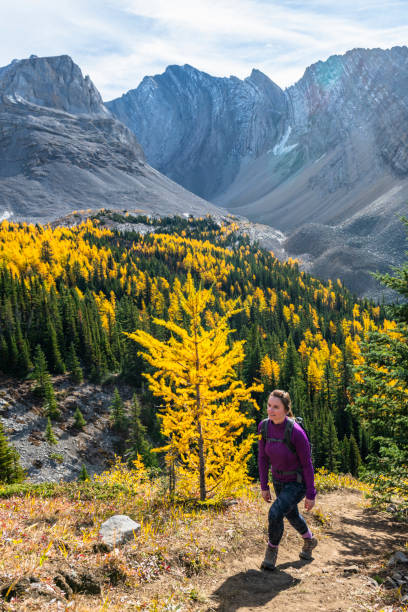 istock Female hiker follows trail through autumnal forest 1351048578