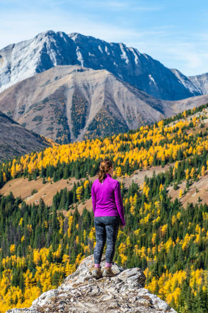 istock Female hiker relaxes at viewpoint, on mountain ridge 1351048811
