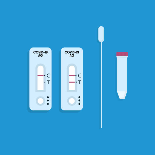 COVID-19, Antigen test kit (ATK) with a nasal swab.Vector illustration. flat design isolated on blue background. COVID-19, Antigen test kit (ATK) with a nasal swab.Vector illustration. flat design isolated on blue background. covid 19 positive stock illustrations