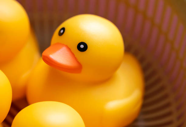 istock Cute little yellow duck. Rubber duck. 1351054063