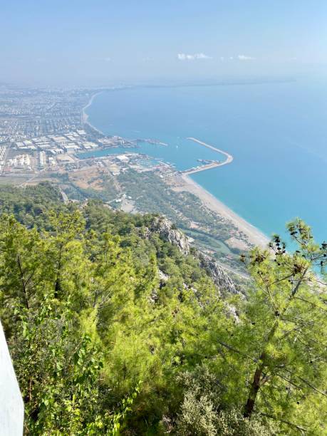 istock Trees and view at city and sea 1351054319