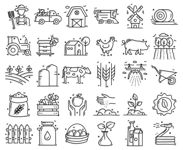 ilustrações de stock, clip art, desenhos animados e ícones de farming and agriculture related objects and elements. hand drawn vector doodle illustration collection. hand drawn icons set. - farm cow