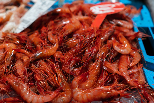 istock Raw red prawns on ice in a fish shop from Palamos. 1351059564