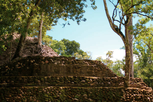 istock Cahal Pech stone step ruins in Belize overgrown with jungle trees and plants 1351059694