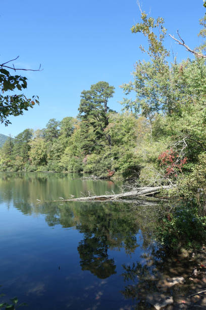 istock Start of autumn on a lake 1351059726