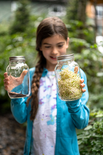Sustainable food at home. Girl growing her own sprouts. Living a healthy lifestyle.