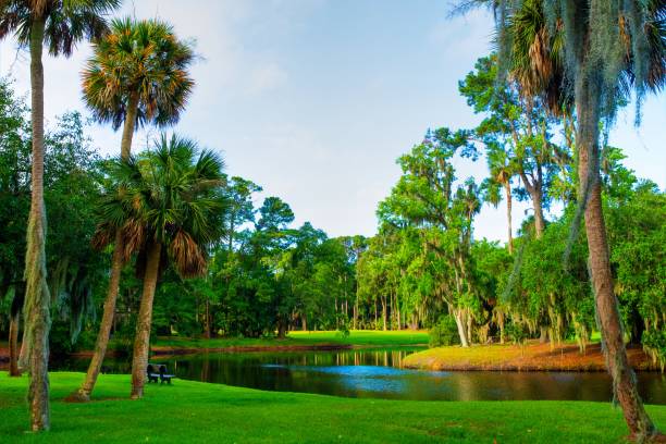 istock Lagoon View-Hilton Head Island, SC 1351064795
