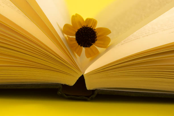 istock Open book with a flower on a yellow background 1351064959