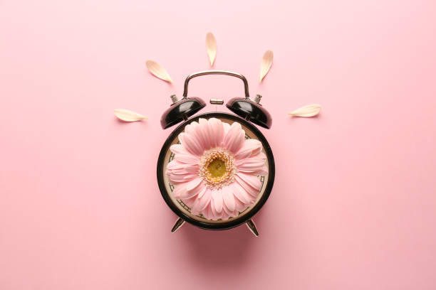 istock Alarm clock with flower on color background 1351065790