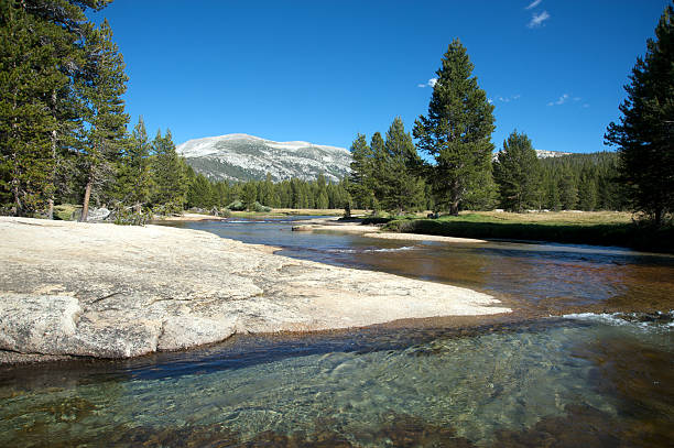 istock Yosemite's peaceful river and valley 135107283