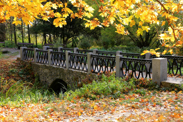 istock small walk bridge in autumn park 1351074539