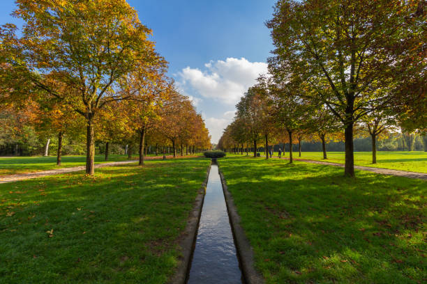 Parco Nord, Milan Wide angle view in an autumn day, Parco Nord in Milan, Italy. park designer label stock pictures, royalty-free photos & images