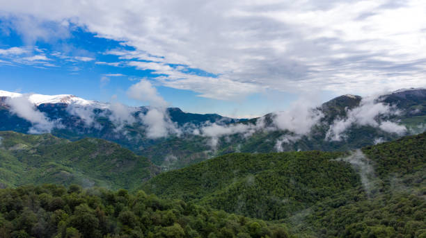istock foggy mountain landscape with forest 1351077303