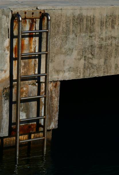 istock Ladder in the harbor 1351077499