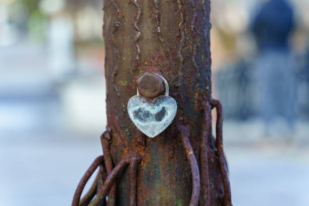 A heart-shaped metal lock hangs on a bolt welded to an iron tree. Grey color.