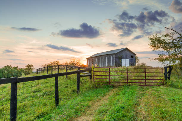 istock Sunset with barn with fence and gate. 1351079703
