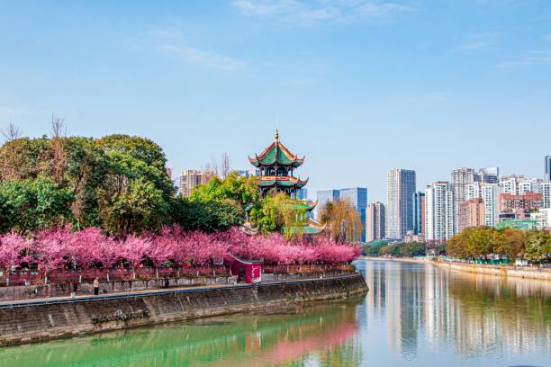 frühling im wangjiang pavilion, chengdu, sichuan, china - chengdu stock-fotos und bilder