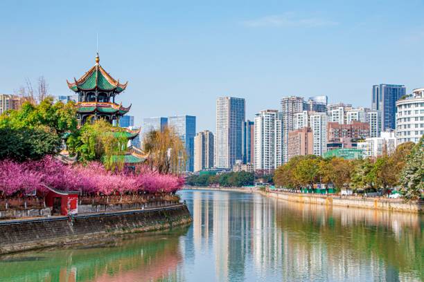 istock Wangjiang Pavilion during Spring with peach blossoms in Chengdu, Sichuan, China 1351080014