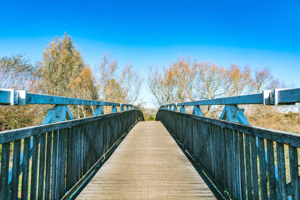 istock Hiking trail in the forest 1351081476