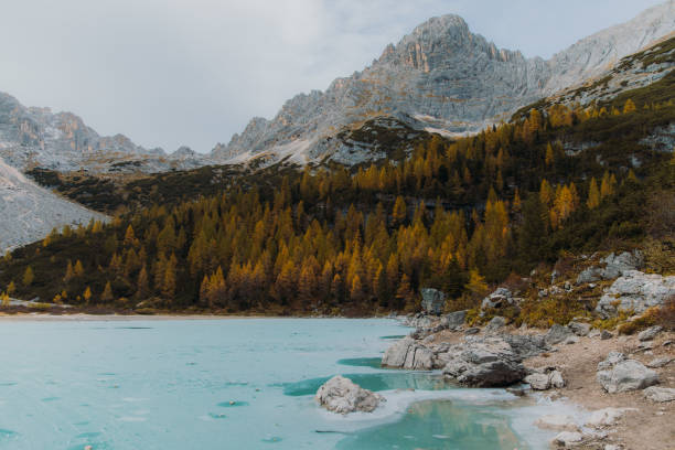 vista panorâmica do lago de montanhas congelada turquesa e da floresta de outono nas montanhas dos alpes - belluno veneto european alps lake - fotografias e filmes do acervo