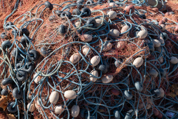 Group of fishing net