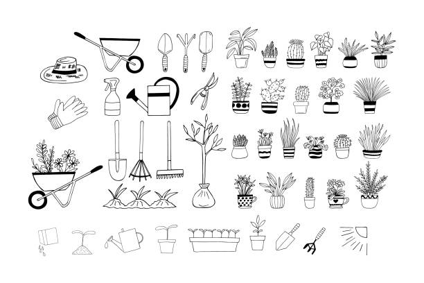 원예 세트 손 그린 낙서. 벡터, 미니멀리즘, 스칸디나비아, 흑백, 북유럽. 원예 도구, 식물, 씨앗, 화분 꽃. 스티커, 아이콘. - hand shovel stock illustrations