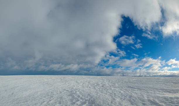 istock Landscape with snow covered field 1351082028