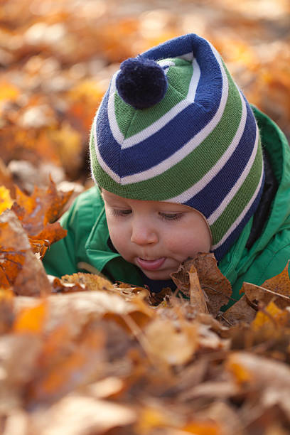 istock Baby in autumn leaves 135108313