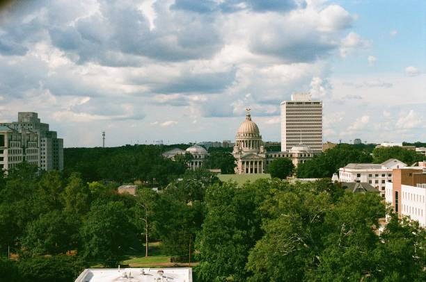 istock Mississippi Capitol 1351084036