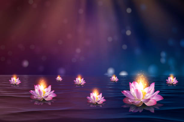 istock lotus Pink light purple floating light sparkle purple background 1351084294