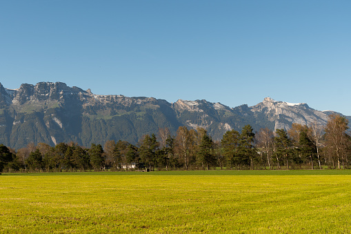 Schaan, Liechtenstein, October 14, 2021 Plantation on a meadow in front of the alps on a sunny day