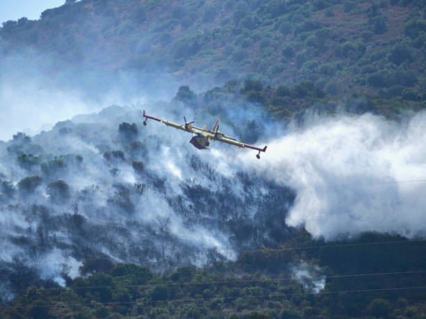istock A picture of fire fighters in the sky 1351086246
