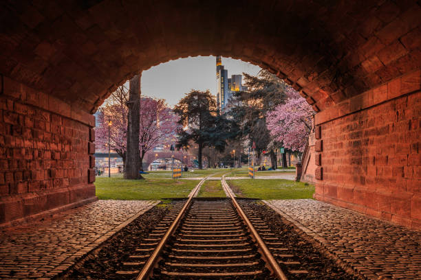 istock Park with tunnel and track in Frankfurt 1351086381