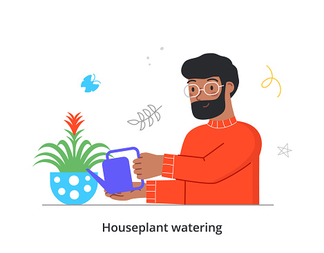 Houseplant watering concept