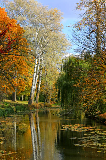 istock lake in autumn park 1351087166