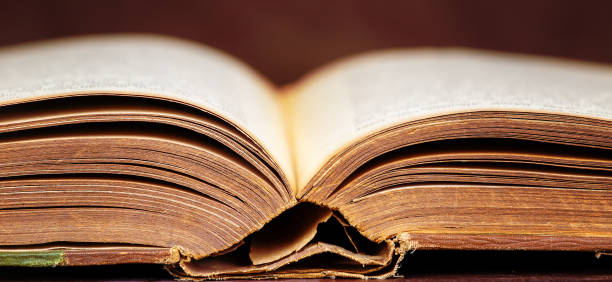 istock Old opened antique book, reading, library banner 1351087440
