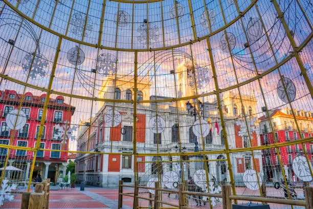 Placement of the huge Christmas tree in the main square of Valladolid for the 2021 festivities